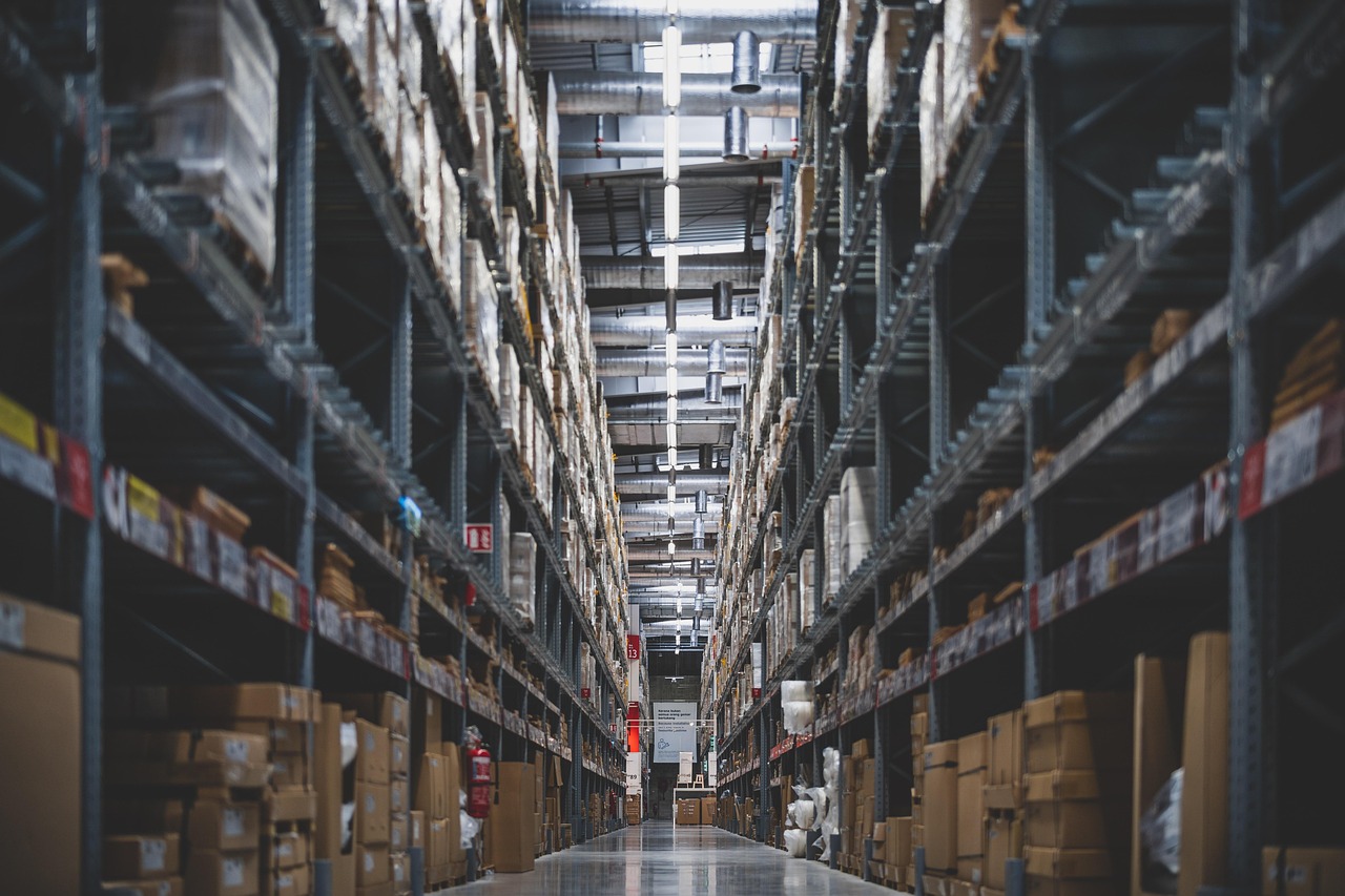 The Growth of Rexas Coin in the Cryptocurrency Market