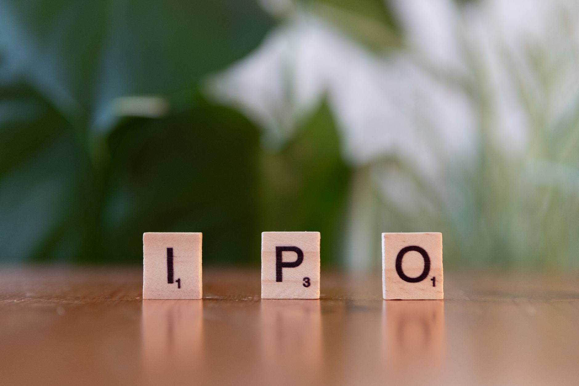 NSE IPO
